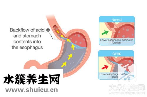 中樞免疫器官