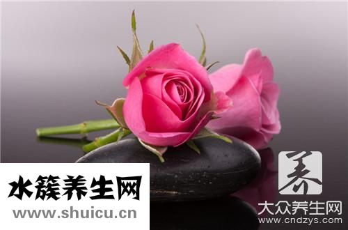 什么花適合在室內養