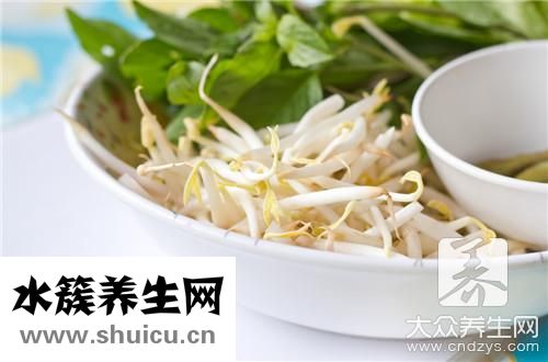 黃豆芽發又粗又快