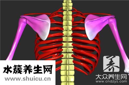 肋骨一按就疼回事