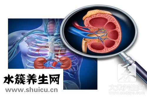 左腹部