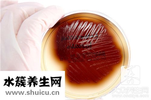 a型rh陽性