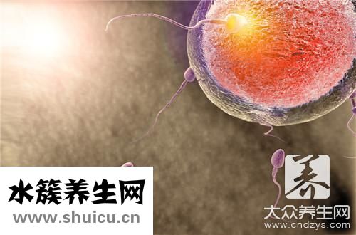 提高卵子質量