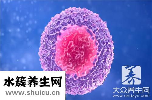 白細胞數高
