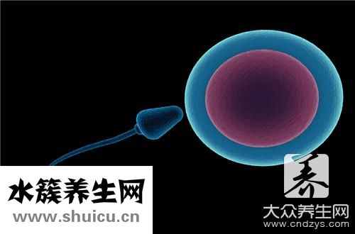 提高卵子質量