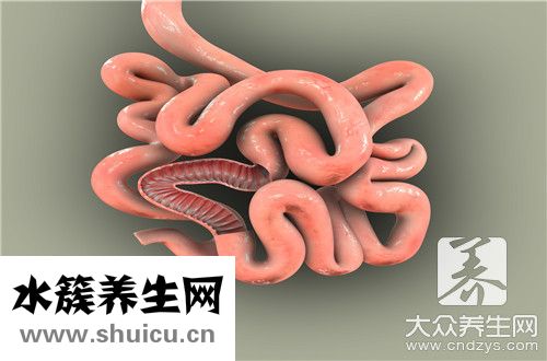 小腸作用