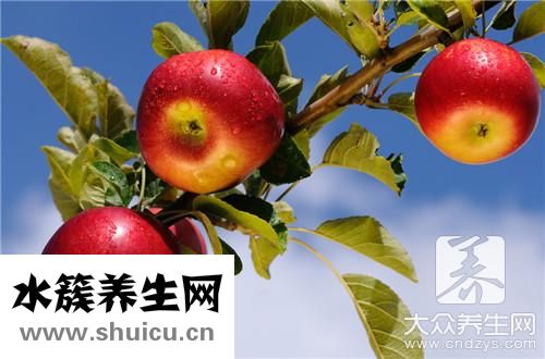 三天蘋果減肥法靠譜嗎