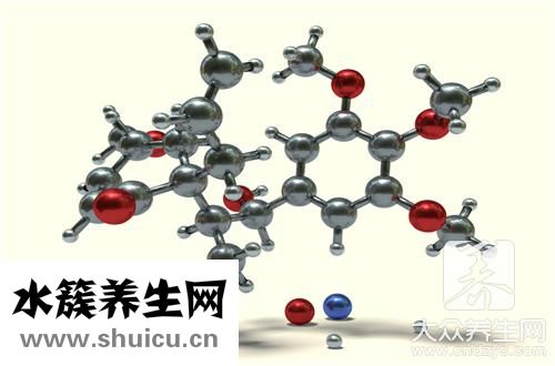 減肥尿酮高辦