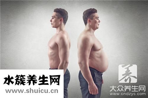 一天不吃飯能瘦多少