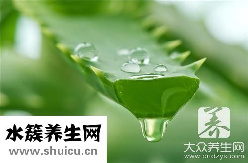 蘆薈補水