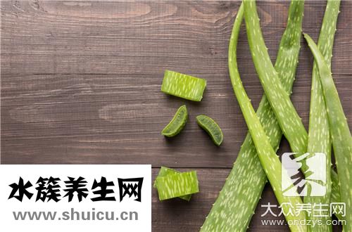 剛摘蘆薈可以擦臉嗎