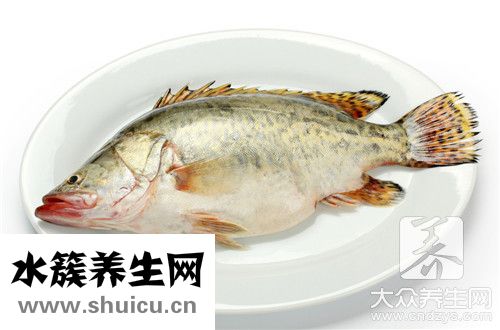 魚鱗片