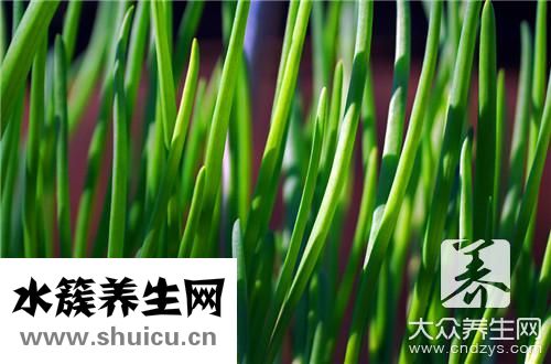 蒜黃和韭黃區別