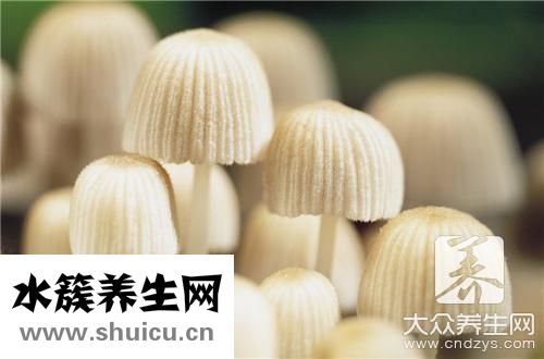 豬尾巴湯法
