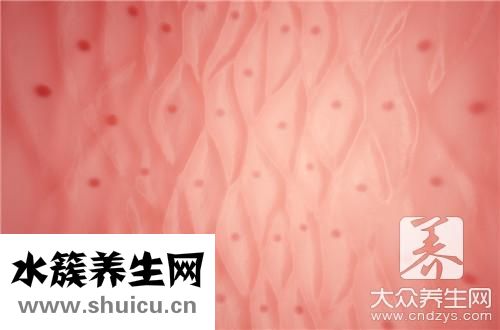 蕎麥茶功效