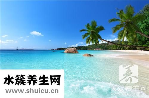 進口海參