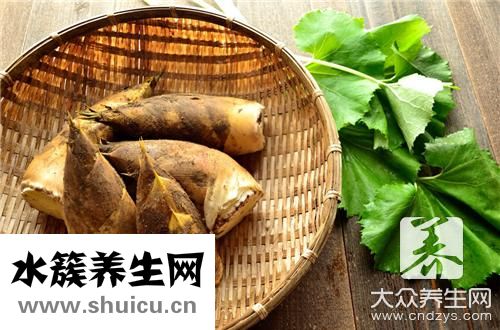 竹筍餃子