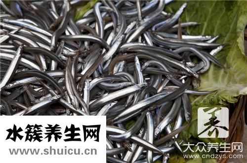 清蒸黃鱔