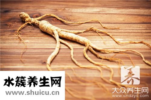 鮮人參效果最好