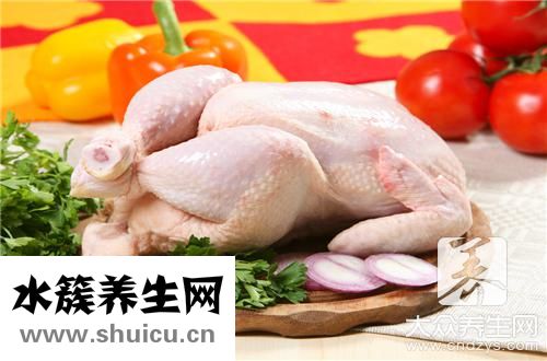 豬和雞