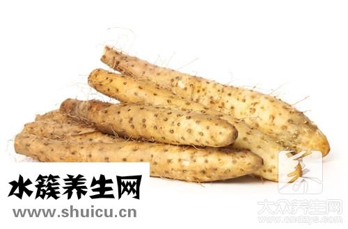 毛山藥
