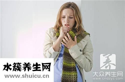 老陳皮價格