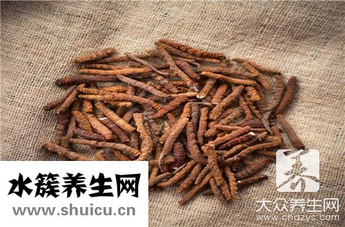 新鮮蟲草花