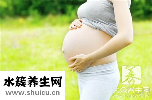 奇亞籽功效