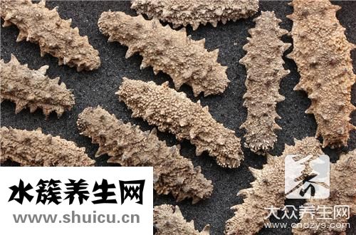 海參燉湯