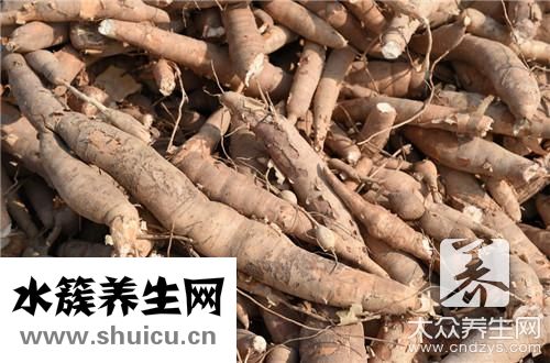 豬尾巴和什么煲湯最補