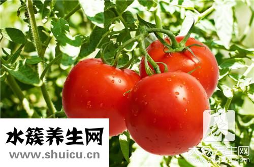 土豆番茄湯