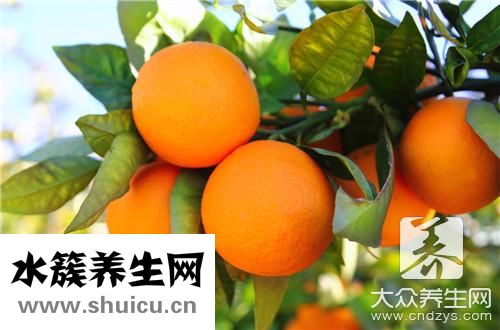 橘和桔有什么區別