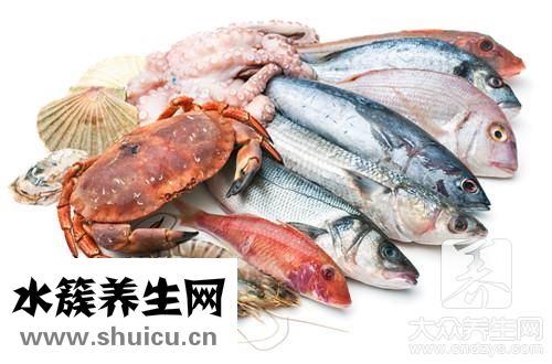 海參燉湯