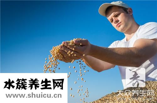 東北大豆醬