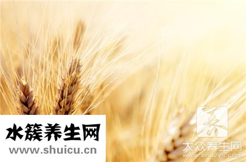 麥芽水