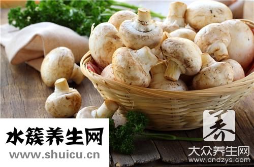 平菇三鮮湯