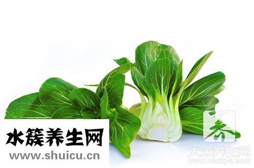 長葉萵苣