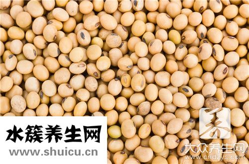 大白蕓豆