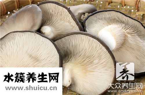 豆腐蘑菇湯