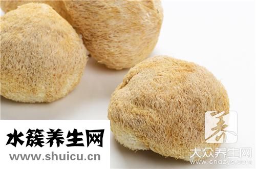 猴頭菇最養胃