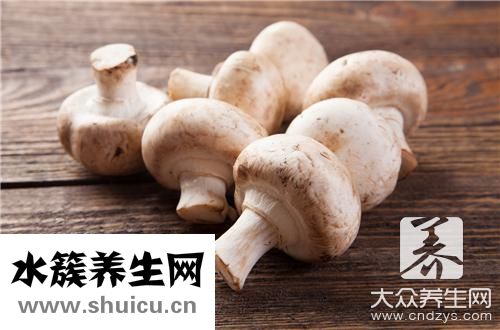 猴頭菇最養胃