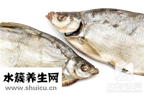 胡子魚同