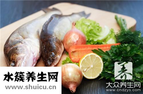 八須鯰魚
