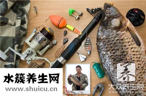胡子魚同