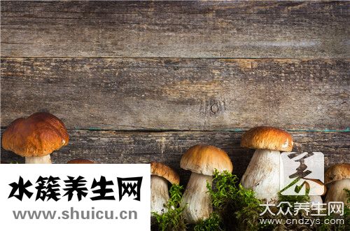 菌類和茄子