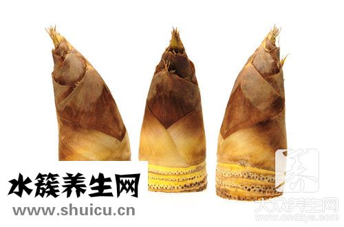 竹筍燉排骨