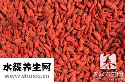 枸杞能補腎嗎