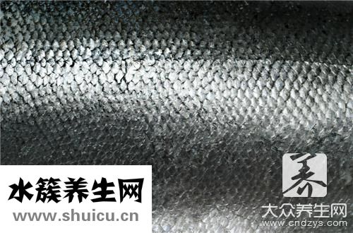 般和花鰱區別