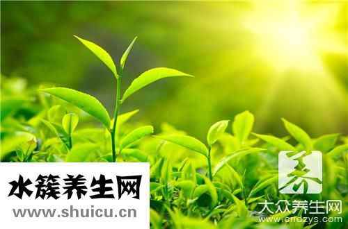 紫泥紫砂壺