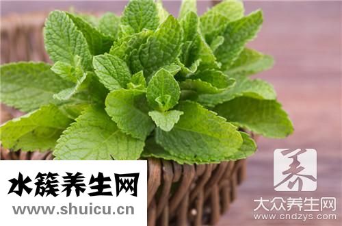 涼拌薄荷葉